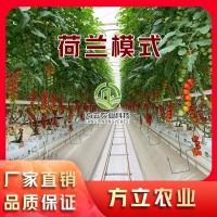 荷蘭模式無土栽培