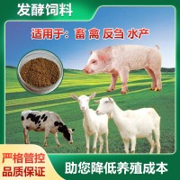 反芻發(fā)酵飼料