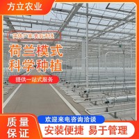 荷蘭模式公司