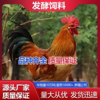 蛋雞生物料