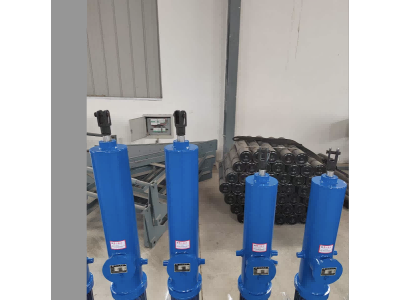 DYTZ700/250電液推桿廠家