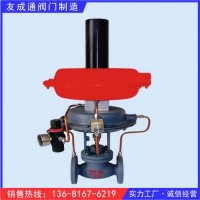 自力式帶指示器船用減壓閥